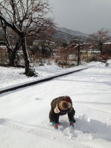 2017年　雪